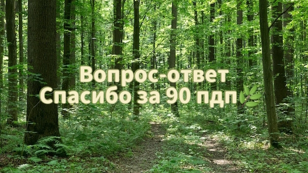вопрос-ответ🌿
(задавайте вопросики🌲)