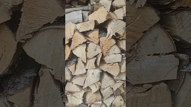 1000008472.mp4 смотреть онлайн