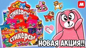 СТИКЕРСЫ новая акция в МАГНИТ! Лучше СКРЕПЫШЕЙ? Распаковка коробки 300 шт от Зайки Лу!
