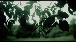 PANASONIC LUMIX S9 📸  Color correction and grading V Log 🎬🎨