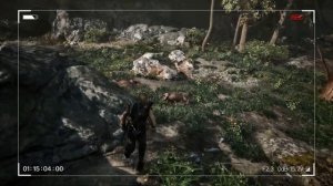 Адские грибы и мясные жуки в игре Gothic 1 Remake