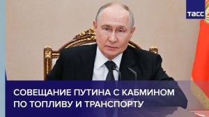 Совещание Путина с кабмином по топливу и транспорту