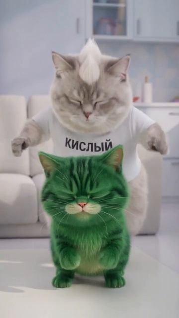 Когда пранк вышел из-под контроля! Кот Кислый наносит ответный удар | Сладкий Кактус и Кислый