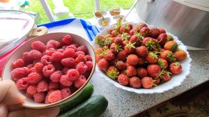 08-07-2026. Андрей наловил судаков. Собираем урожай ягод. Накоптили рыбы.