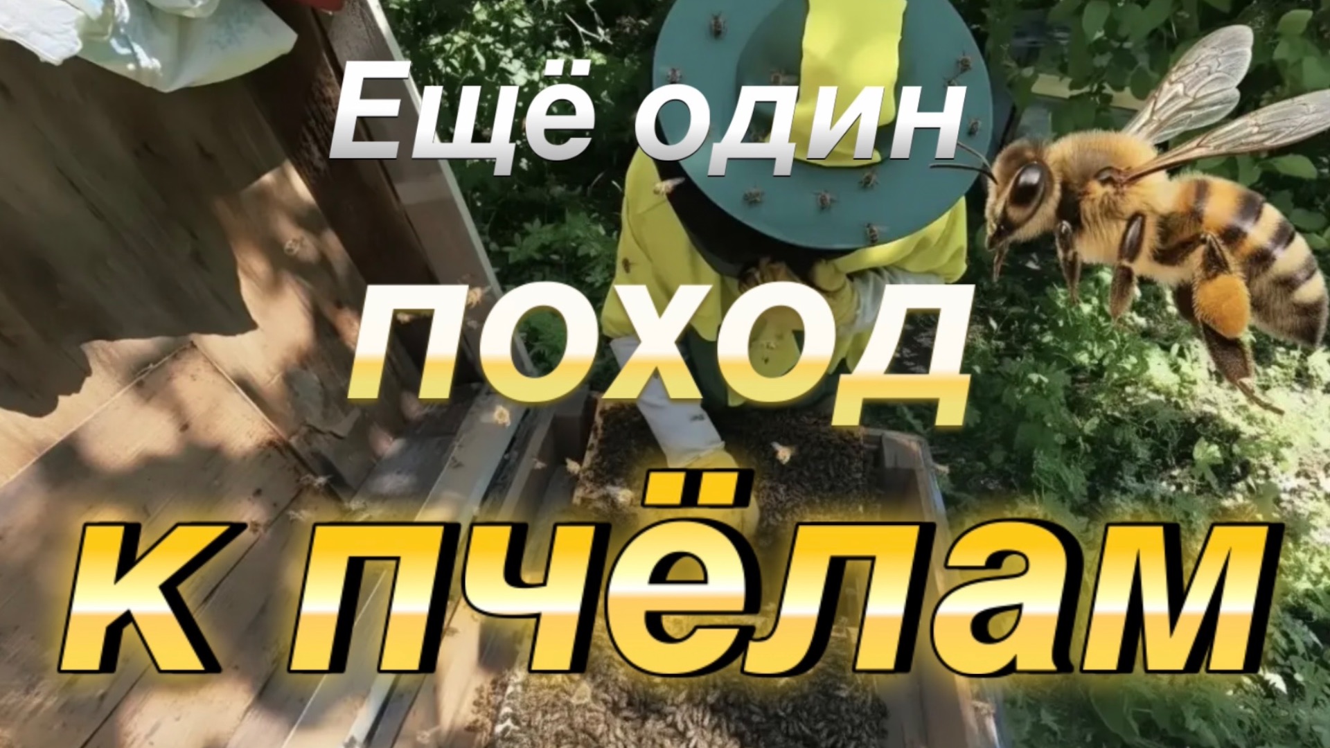 К пчёлам