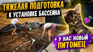 Ровняем площадку под бассейн💪 оказалась сложнее чем мы думали! + Новый питомец 🐱#бассейн #котенок