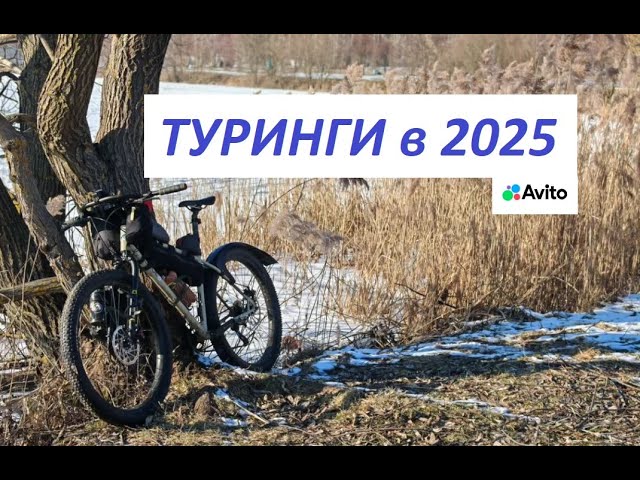 Avito обзор рынка Турингов в 2025 году смотреть онлайн