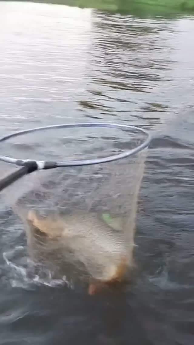 Лето в самом разгаре, а это значит, что «Клёвое Никольское» ждёт вас! 🎣 смотреть онлайн