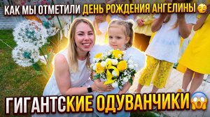 КАК МЫ ПРАЗДНОВАЛИ ДЕНЬ РОЖДЕНИЯ АНГЕЛИНКИ 🥳 ГИГАНТСКИЕ ОДУВАНЧИКИ 😱