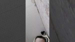 задания и  вопросы