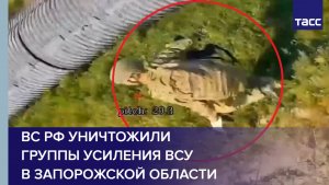 ВС РФ уничтожили группы усиления ВСУ в Запорожской области