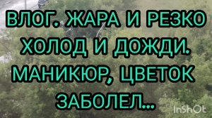 ВЛОГ. ИЗ ЖАРЫ В ХОЛОД В МОСКВЕ. ВКУСНОЕ МОРОЖЕНОЕ ИЗ ЧИЖИКА. МАНИКЮР. ЦВЕТОК ЗАБОЛЕЛ...
