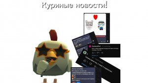 КУРИНЫЕ НОВОСТИ!