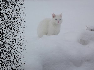 Ледяной мир
