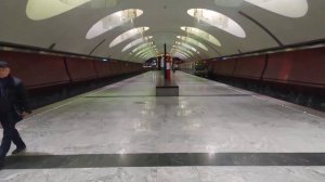 Станция метро Борисово интерьер, пассажиры, поезд Москва