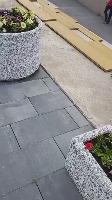🥰 08.07.26г 💖💐(ч.2)