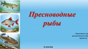 Видеоурок на тему: «Пресноводные рыбы».