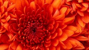 Эх, Виндовс 7.. как я по тебе скучаю..