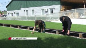 Более 100 тысяч жизней спрятаны в торфе