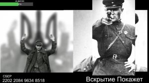 Стрим по сумеркам
