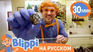 Песня про Сладости _ Обучающие песенки для детей _ Blippi Russian