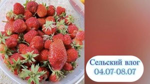 Сельский влог. 04.-08