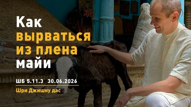 Как вырваться из плена майи? ШБ 5.11.3 - Шри Джишну прабху (30.06.2026)