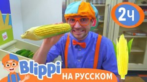 Детский музей «Глейзер» _ Изучай этот мир вместе с Блиппи _ Blippi Russian