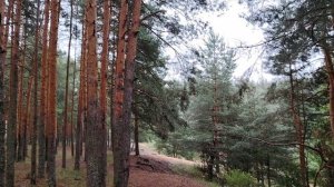 Сложная финансовая ситуация