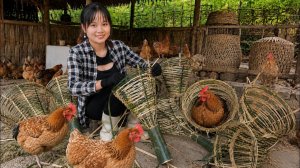 Я построил новые гнездовые ящики для своих кур... А потом к нам нагрянул неожиданный гость.