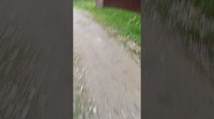 1000033191.mp4