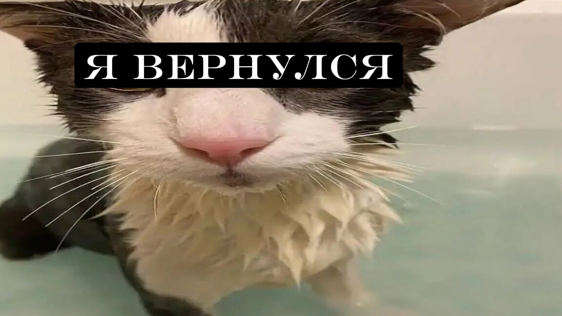 Я вернулся (в сотый раз) смотреть онлайн