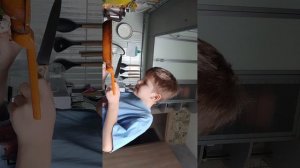 показываю завтрак чек