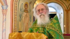 Точка опоры. Протоиерей Геннадий Фаст на празднование свв. Петра и Февронии Муромских 08.07.2026