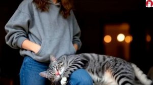 10 способов, которыми ваша кошка пытается с вами поговорить (перестаньте игнорировать это )