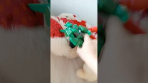 Медведь на дискотеке.mp4
