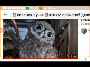 відео.com.ua🦉і🦉рубрика відеокліпи.ua🦉Совёнок Лучик та Джанго возвращайся ты слишком далеко🦉(МР-3)🦉