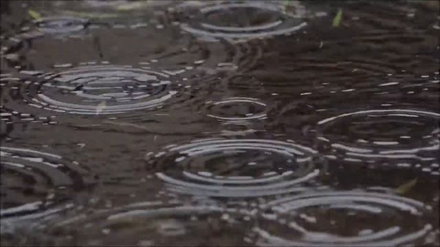 Дождь, лужа, капли дождя, звук дождя смотреть онлайн