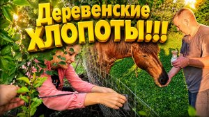 КУПИЛИ ДОМ В СЕЛЕ НА ХУТОРЕ | Деревенские хлопоты | Семья в селе
