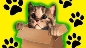 МОЙ Маленький КОТЕНОК СИМУЛЯТОР котика виртуальный питомец словно мультик для детей Kitten