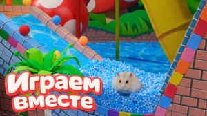 ХОМЯК ВЫБИРАЕТСЯ ИЗ СЕКРЕТНОЙ ХОМЯЧЕЙ ТЮРЬМЫ ! Забавные животные ! Супер лабиринт для хомяка №50!