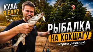 Рыбалка на Кокшаге. Поймал щуку.