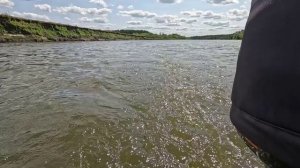 река Дон, рыбалка на электромоторе HANGKAI 65 LB.