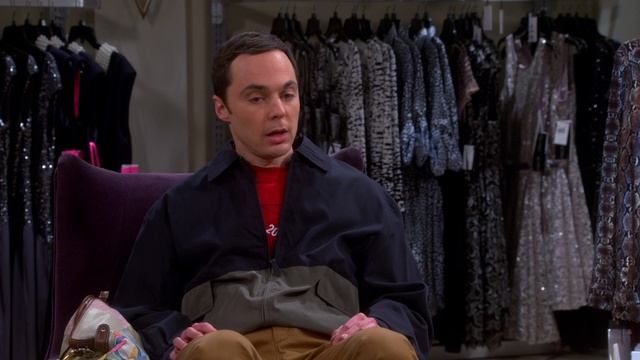 Теория Большого взрыва 8 сезон 12 серия / The Big Bang Theory смотреть онлайн