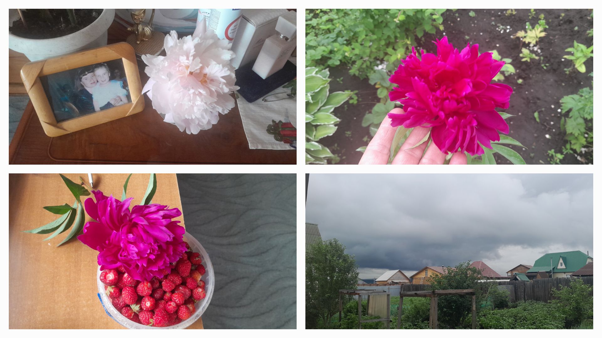 САД🌸В ДОЖДЬ/ГОДЫ♈️ЛЕТЯТ/ОТВЕТ на КОММЕНТАРИЙ❗️/НАВЕЛА🛂 ПОРЯДОК В🛅ГАРАЖЕ/СОБРАЛА 2 Л🍓ЗА 5 МИНУТ