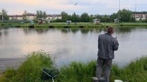 VID-20260708-WA0025