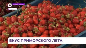 Лето на рынках Владивостока в самом разгаре – прилавки ломятся от овощей, фруктов, ягод