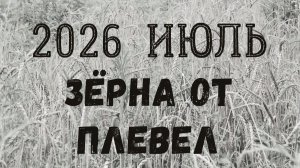 Что сейчас происходит и почему. Июль 2026.