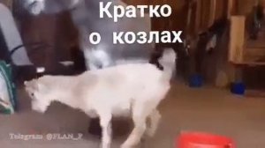 БЫВАЕТ
