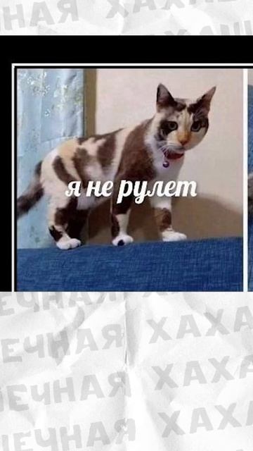 Поздравляю с Днём морской волны! смотреть онлайн